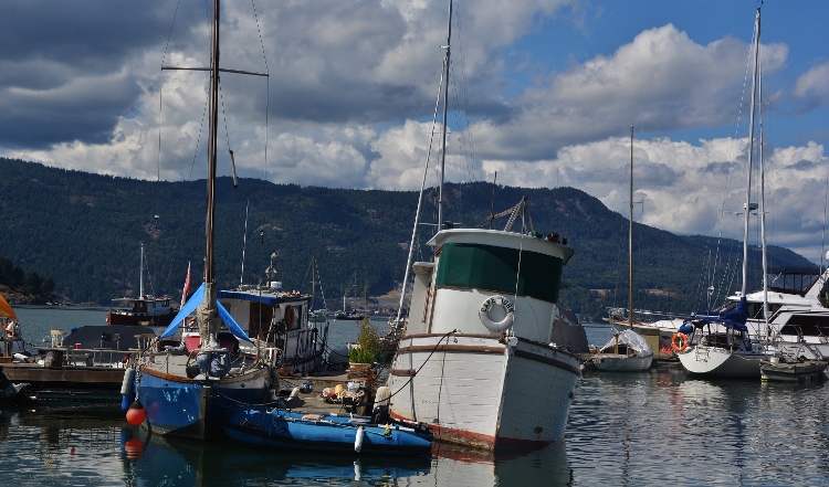 harbor scene